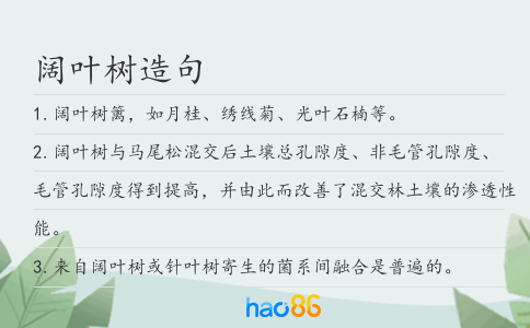 阔叶树造句