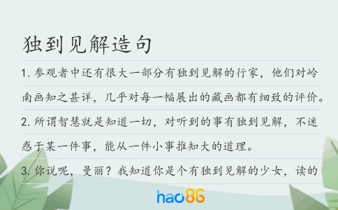 独到见解造句
