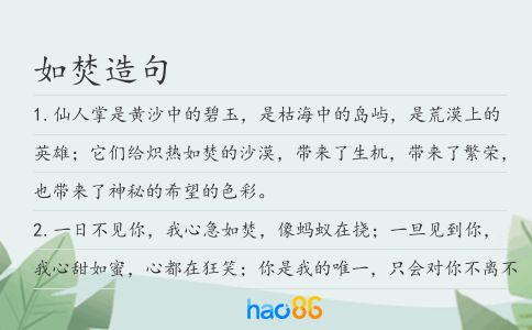 如焚造句