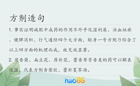 方剂造句