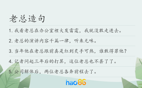 老总造句