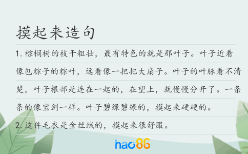 摸起来造句