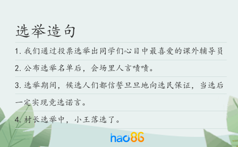 选举造句