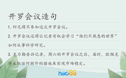 开罗会议造句
