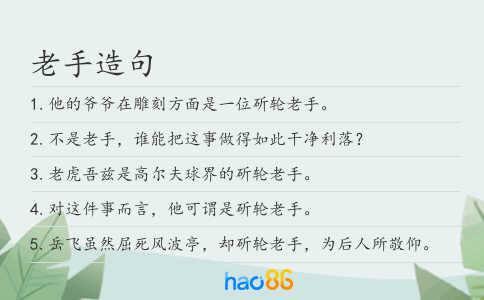 老手造句