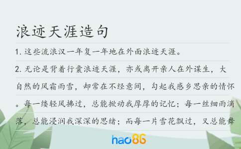 浪迹天涯造句