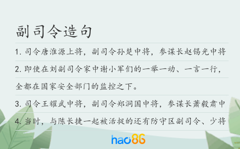 副司令造句