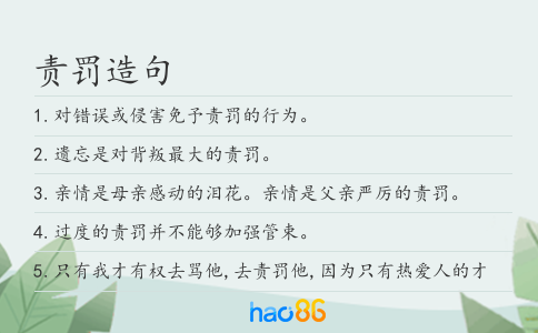 责罚造句