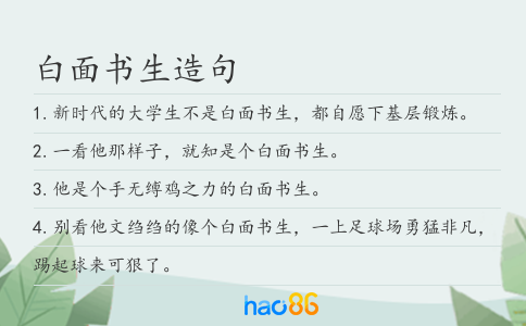 白面书生造句