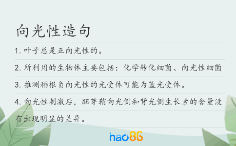 向光性造句