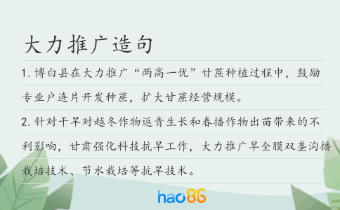 大力推广造句
