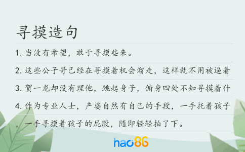 寻摸造句