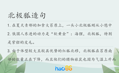 北极狐造句