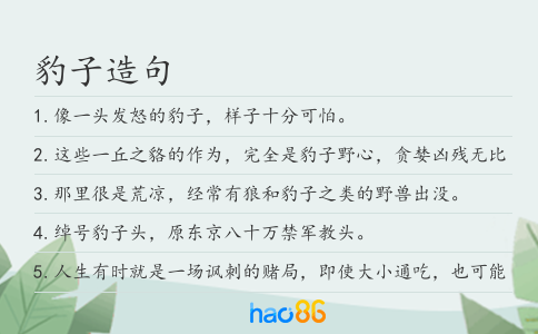 豹子造句
