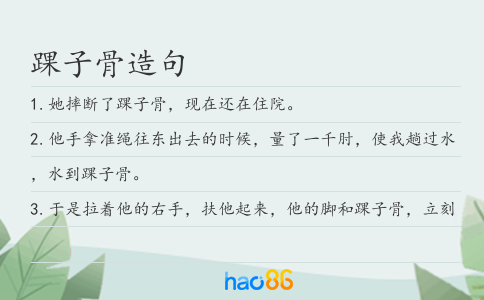 踝子骨造句
