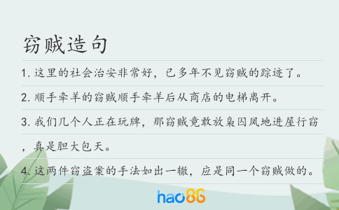 窃贼造句