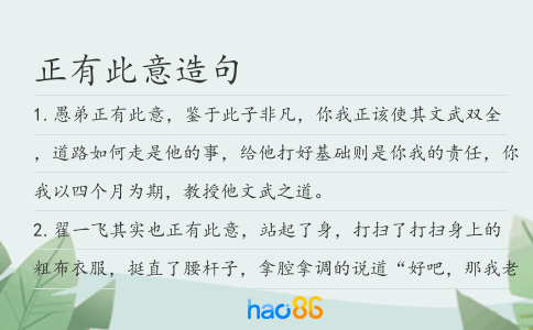 正有此意造句