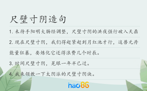 尺壁寸阴造句