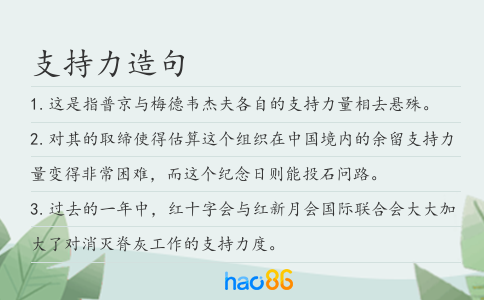 支持力造句