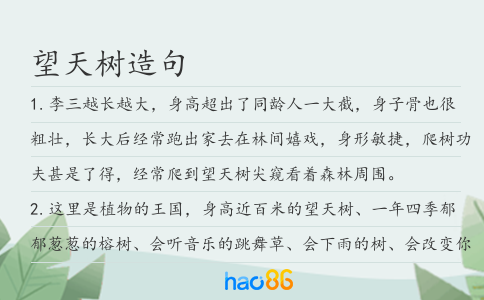 望天树造句
