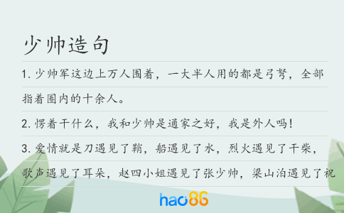 少帅造句