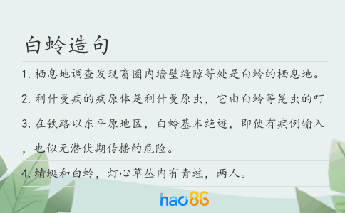 白蛉造句