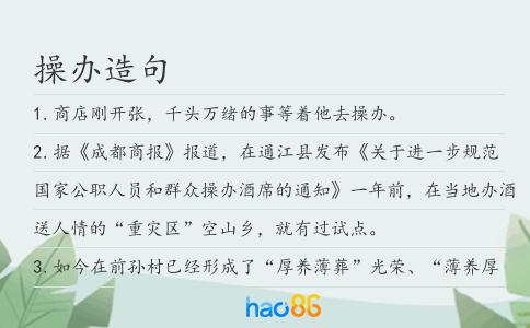 操办造句