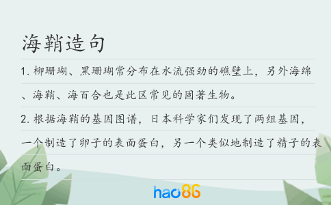 海鞘造句