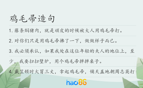 鸡毛帚造句