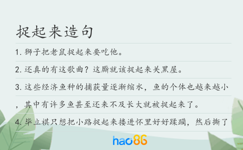 捉起来造句
