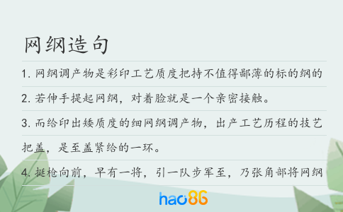 网纲造句
