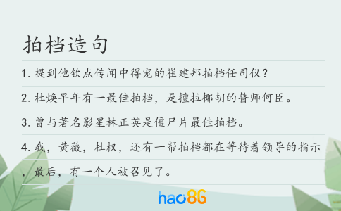 拍档造句