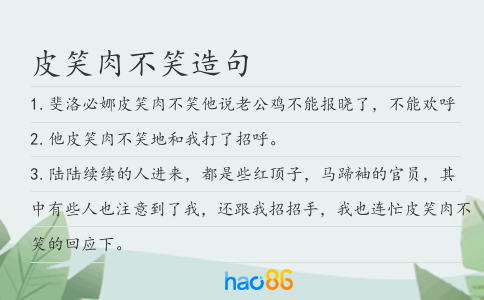 皮笑肉不笑造句