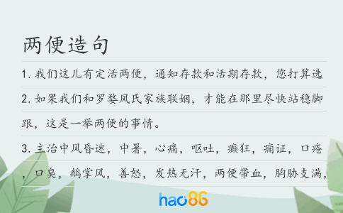 两便造句