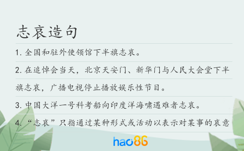 志哀造句