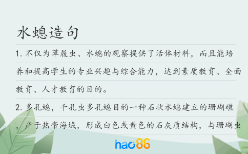 水螅造句