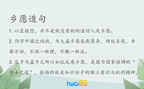 乡愿造句