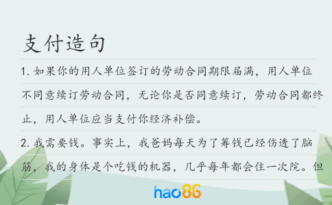 支付造句
