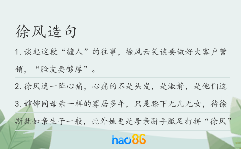 徐风造句