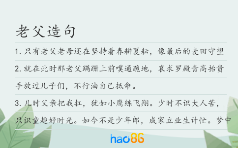 老父造句