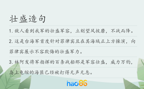 壮盛造句