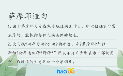 萨摩耶造句