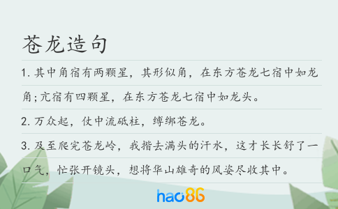 苍龙造句