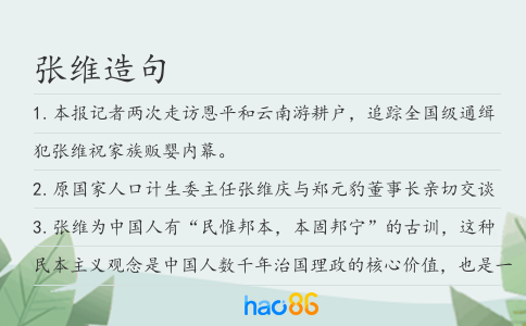 张维造句
