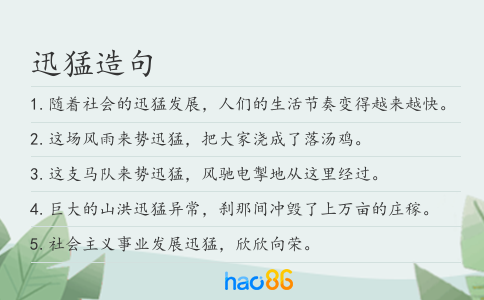 迅猛造句