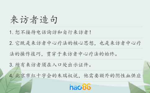 来访者造句