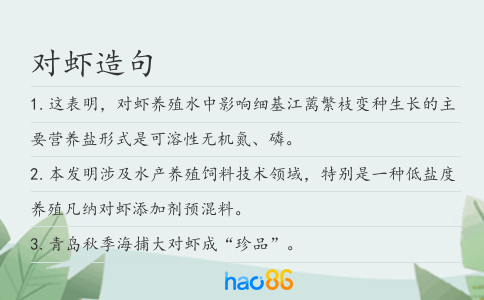 对虾造句