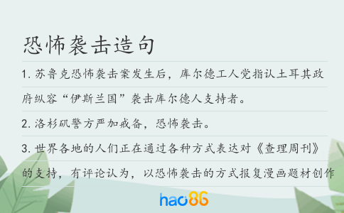 恐怖袭击造句