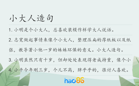 小大人造句
