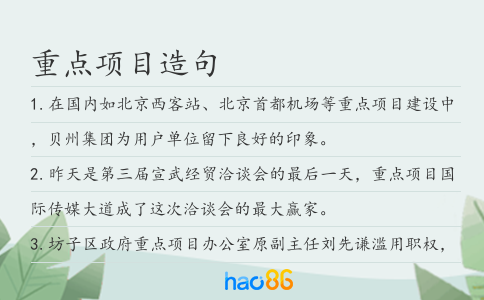 重点项目造句